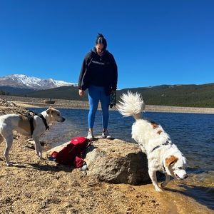 Meet your Posher, Sydney